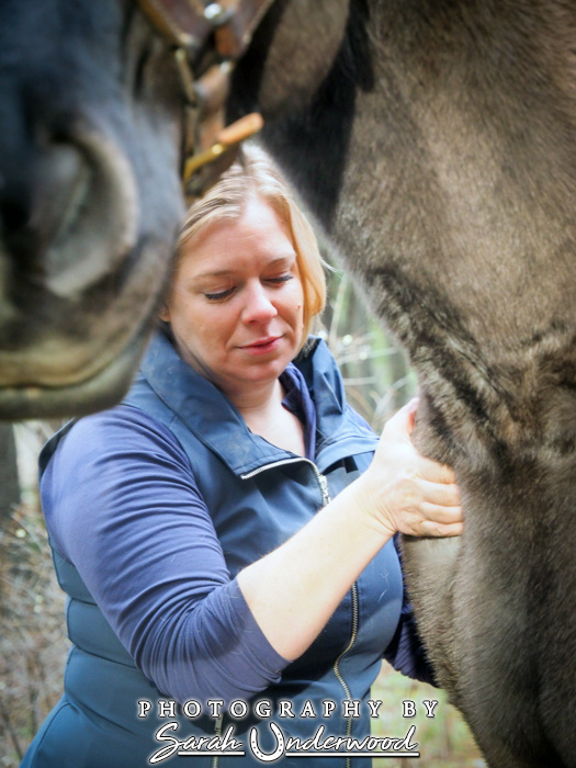 Equine bodywork in Kamloops