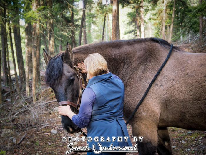 Equine bodywork in Kamloops