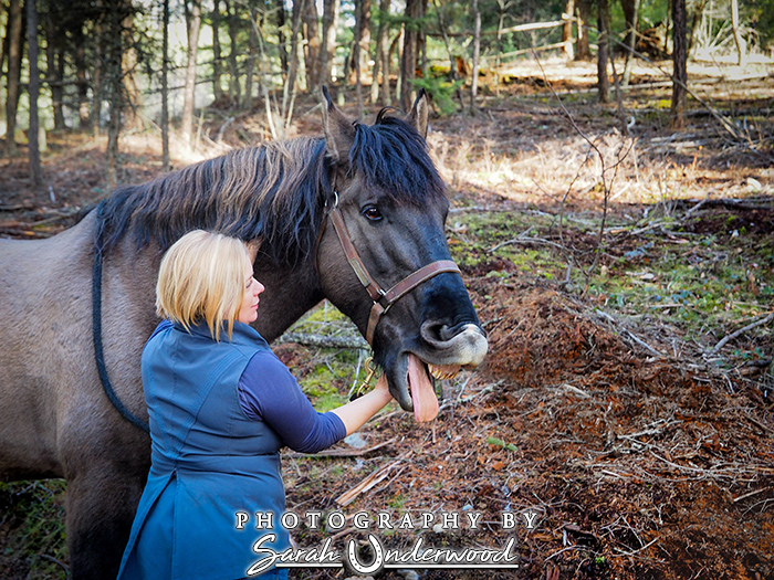 Equine bodywork in Kamloops