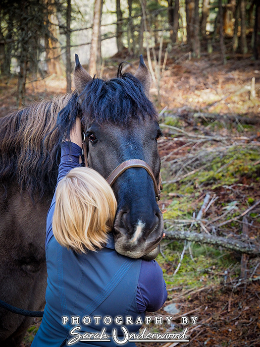 Equine bodywork in Kamloops