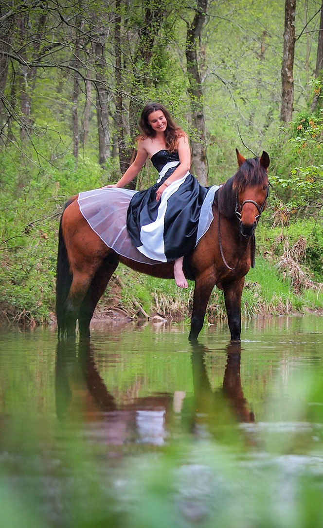 Horse Photography